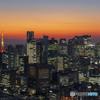 東京タワーと夕景