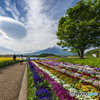 吊るし雲