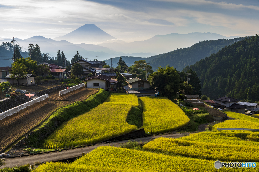 里山の秋