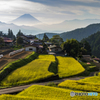 里山の秋