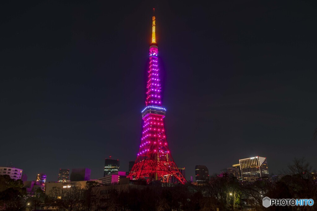 2021バレンタイン ダイヤモンドヴェール