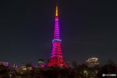 2021バレンタイン ダイヤモンドヴェール