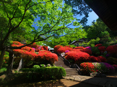 green&red