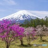 創造の森