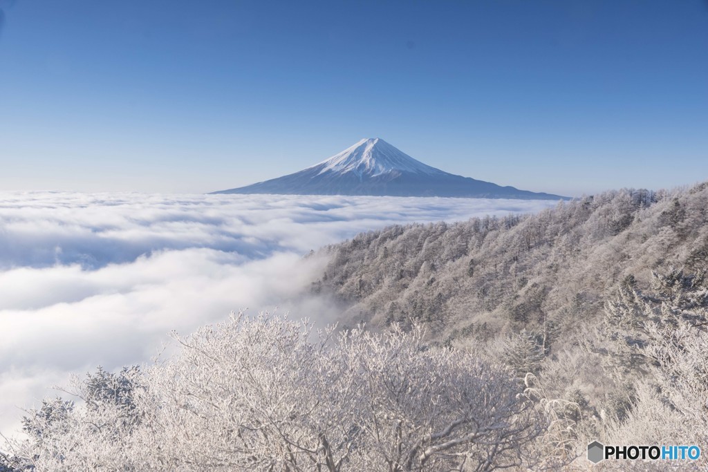 輝く霧氷