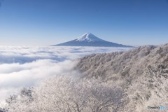 輝く霧氷