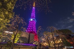 GUCCI桜ピンク