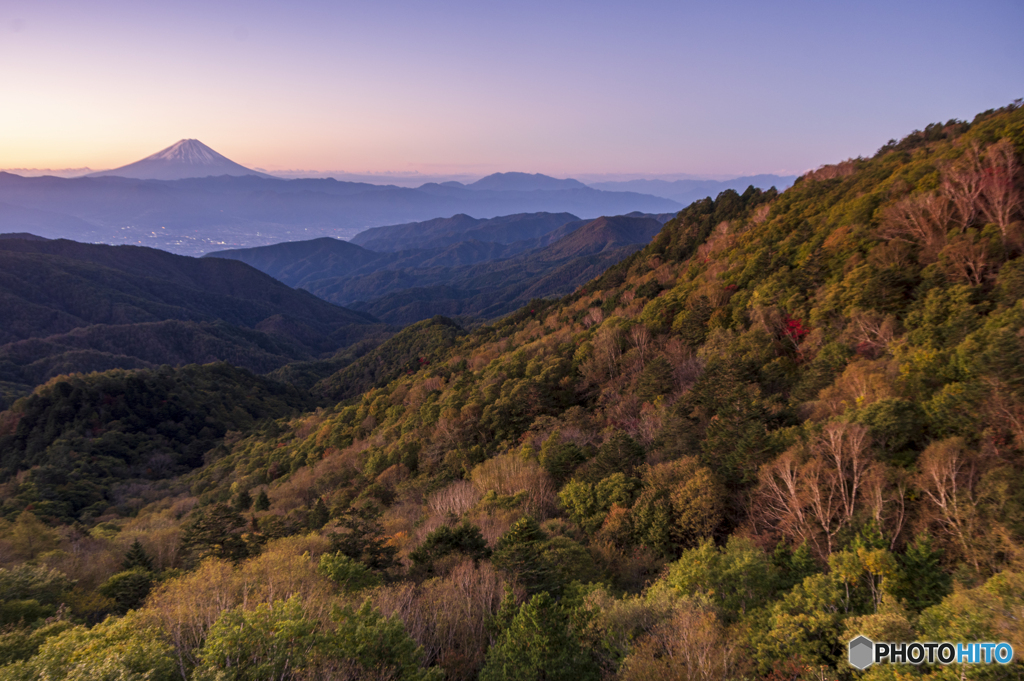 夜明けに輝く紅葉