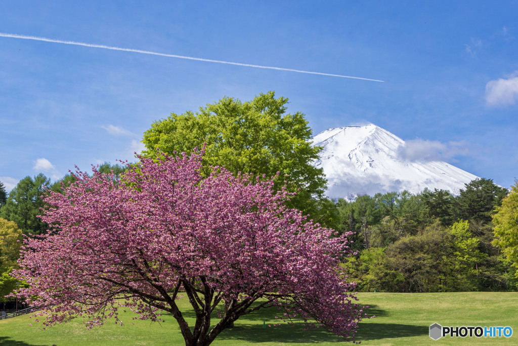 諏訪の森自然公園