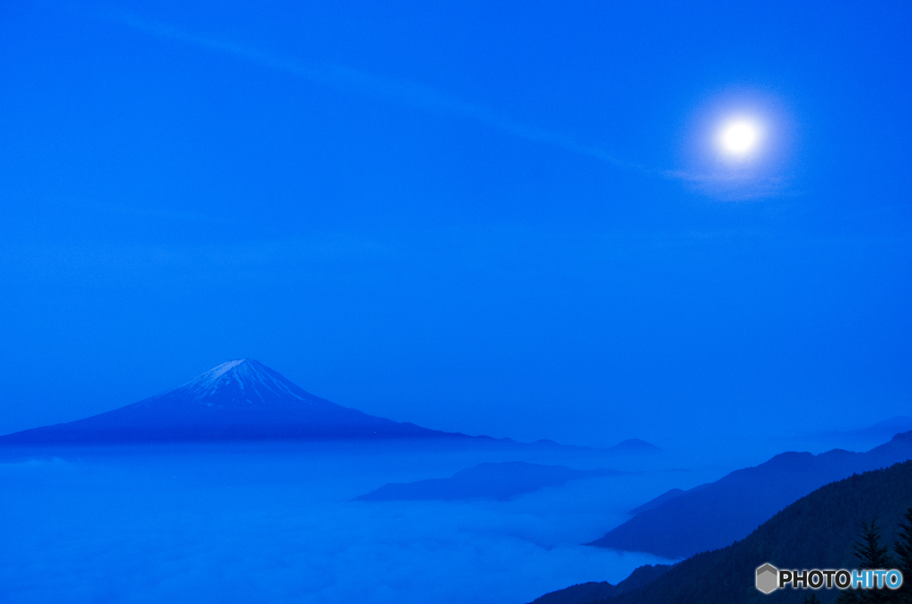 蒼い世界
