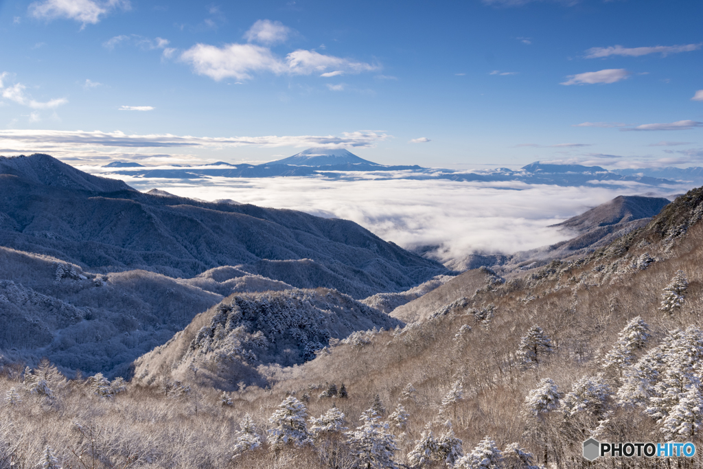 雪道の先に