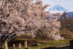 道祖神と富士山