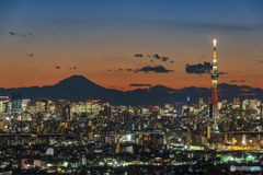 東京夕景