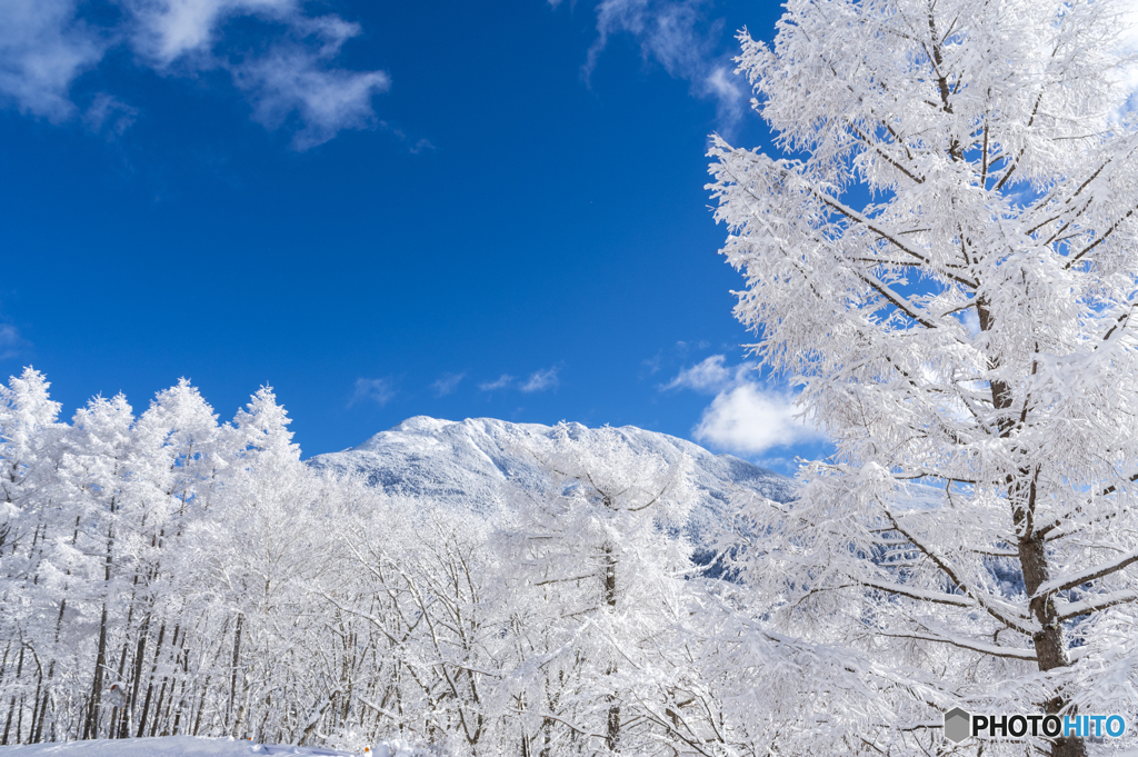 蓼科山と霧氷