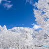 蓼科山と霧氷