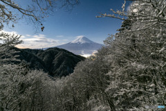 月光に輝く雪景色