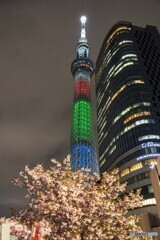 聖火リレー　和歌山県