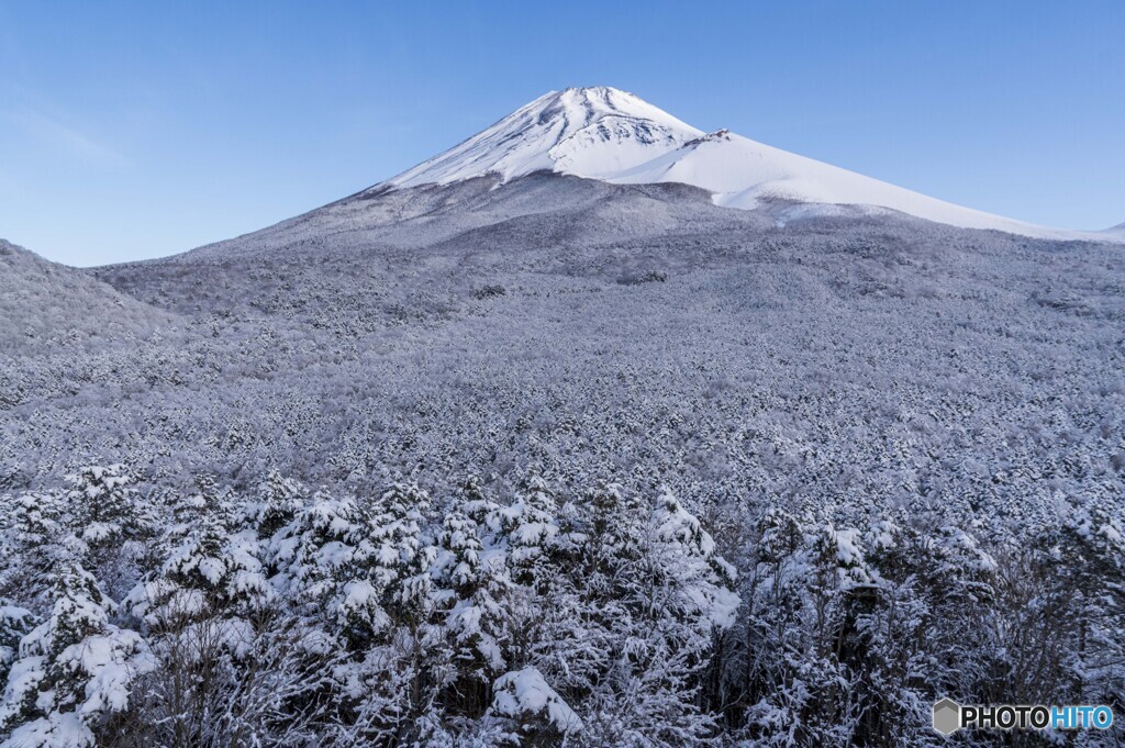 春の雪景色