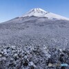 春の雪景色