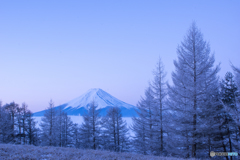 霧氷と富士山