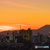 市川からの富士山