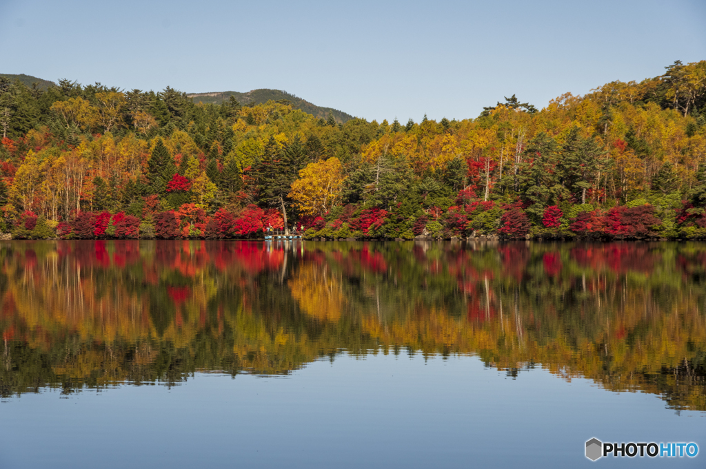 白駒池の紅葉