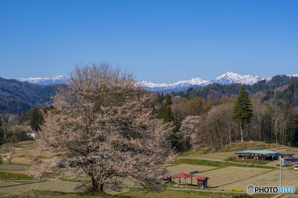 春の情景