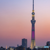 復興を願う「明花」２