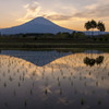 田園