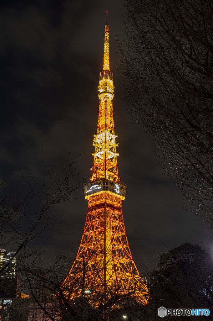 ポルシェ７５周年記念ライトアップ