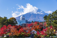 ふじさんミュージアムの紅葉