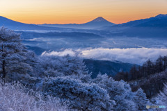 霧氷の高ボッチ