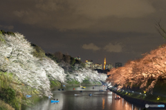 2019 千鳥が淵