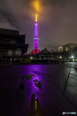 桜開花ダイヤモンドヴェール