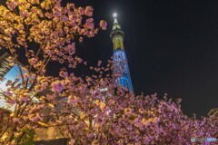聖火リレー　岐阜県