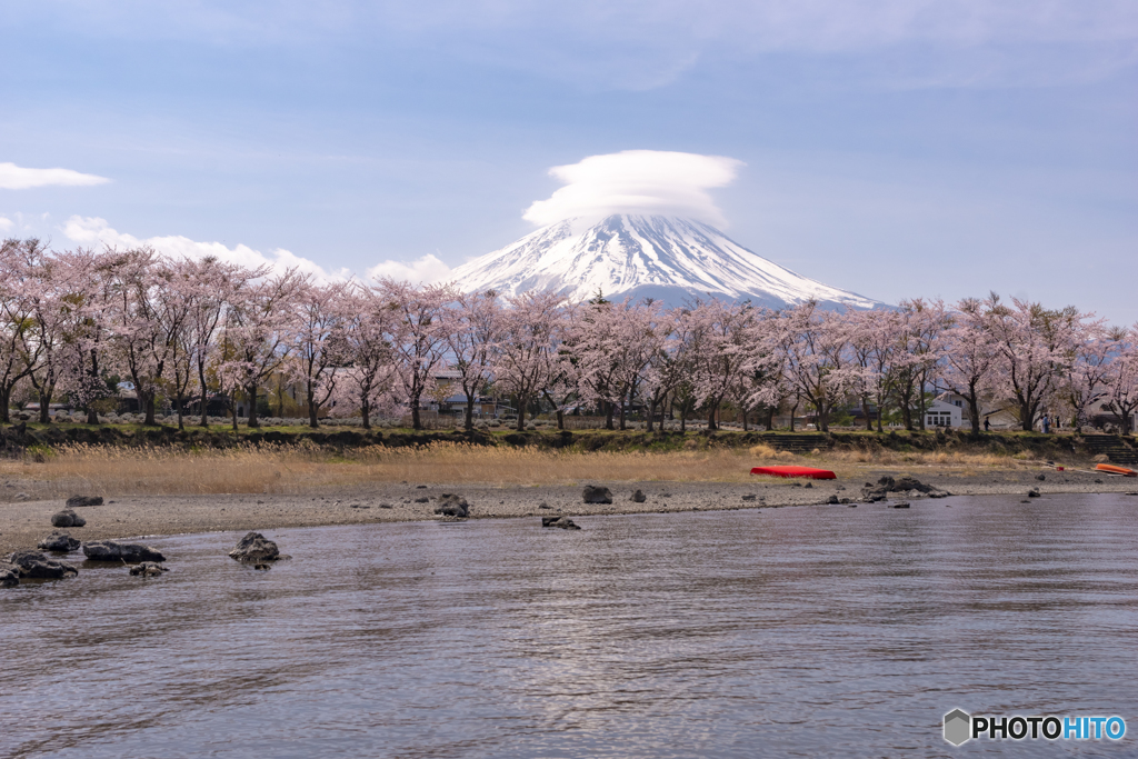 桜の園と笠雲2