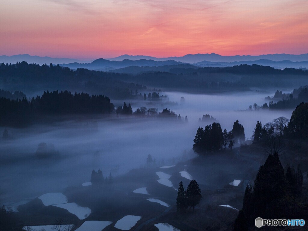 朝霧の棚田