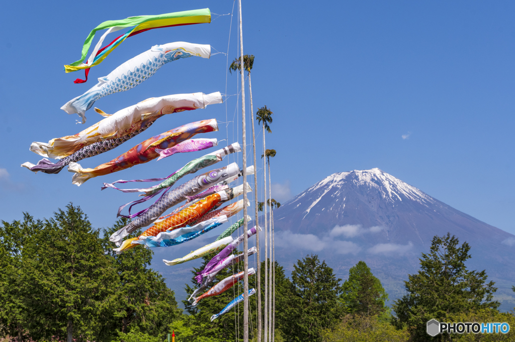五月空に泳ぐ