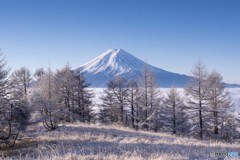 冬の富士山