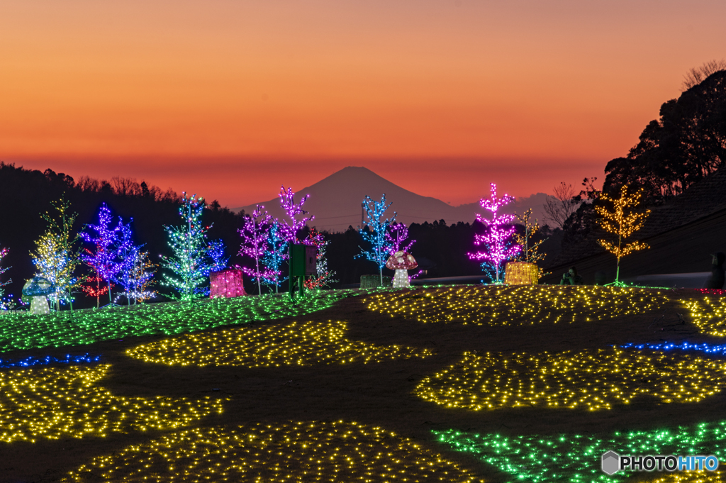 イルミと富士山２