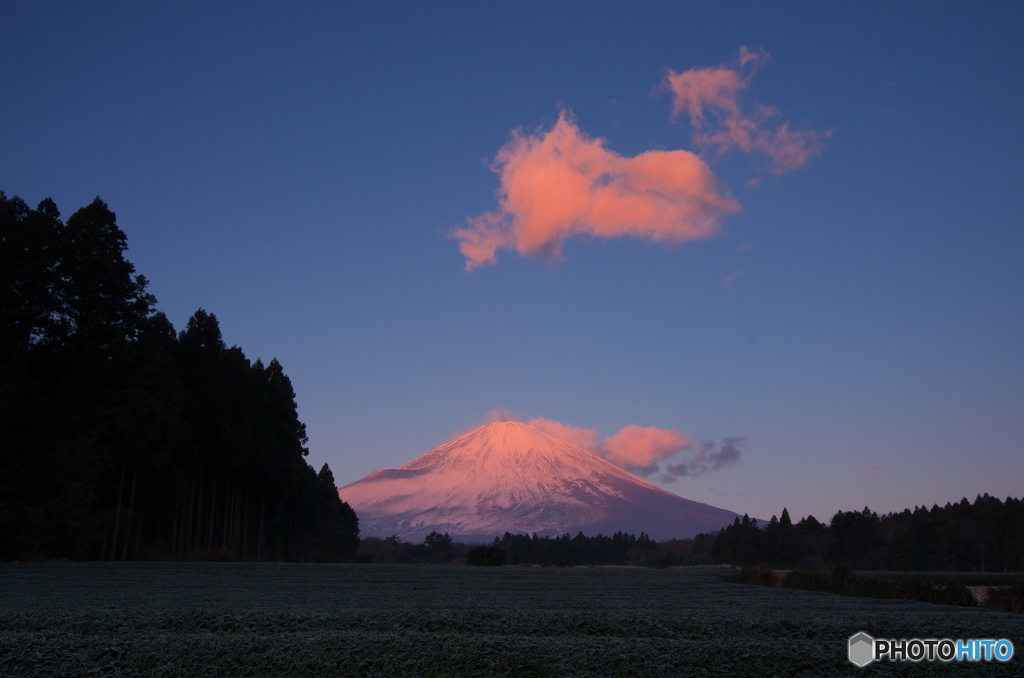 薄紅色の光景
