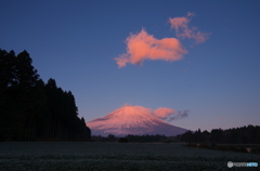 薄紅色の光景