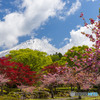 花園