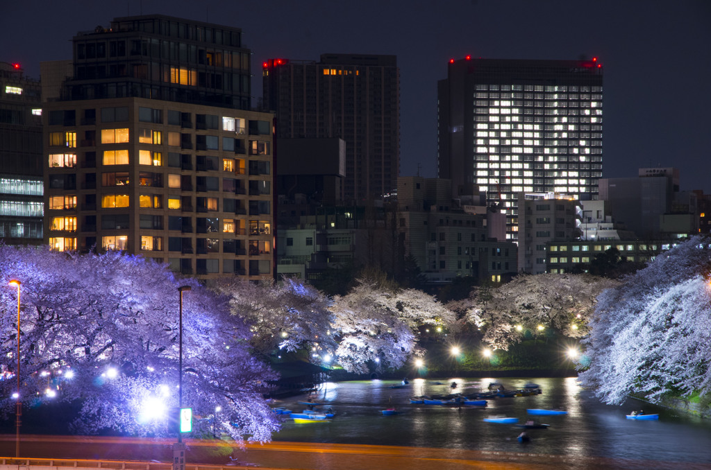 ビルにも桜