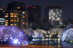 ビルにも桜