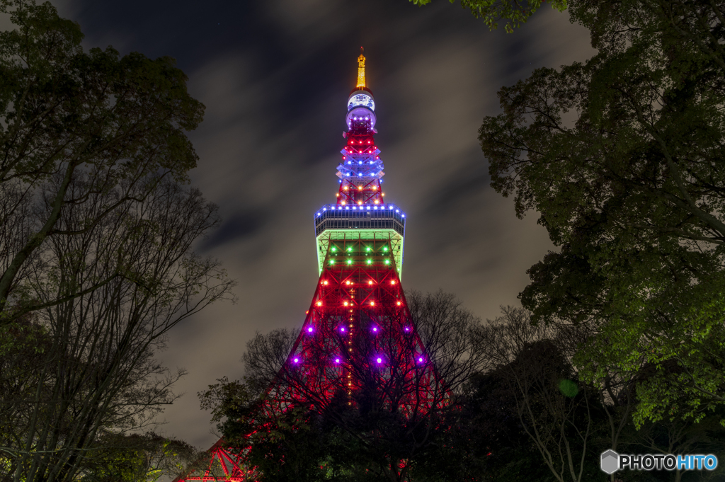 東京タワー×JRA