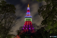 東京タワー×JRA