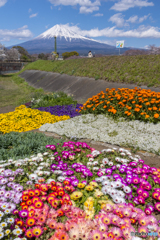 花壇と富士山