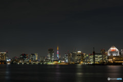 くるり公園の夜景