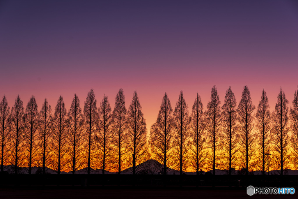 薄暮のシルエット